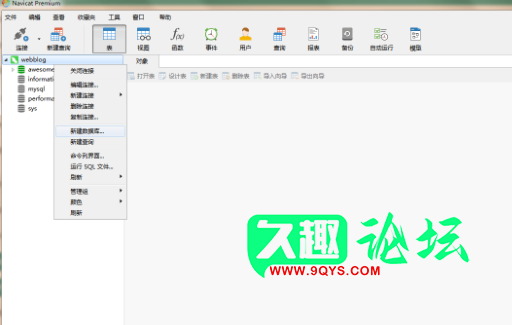 图片[3]-Navicat Premium_11.2.7简体中文版-久趣源码交流论坛